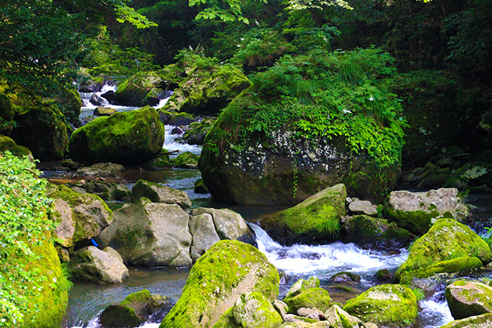 神鍋溶岩流