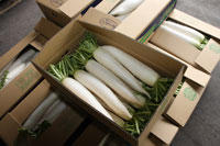 200701daikon.jpg