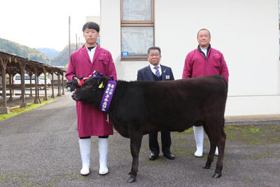 201106JAたじま　第16回香美町後期子牛品評会.jpg