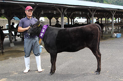231004JAたじま　第18回新温泉町子牛共進会.JPG