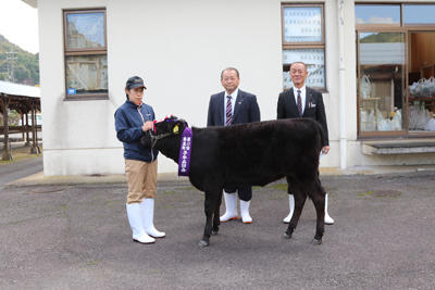 211029JAたじま　香美町子牛品評会後期の部.jpg