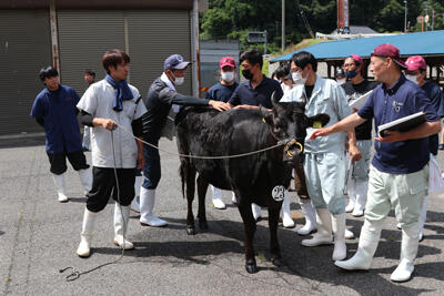 220628JAたじま　全共但馬地域最終予選.jpg