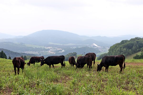 140704houboku1.jpg
