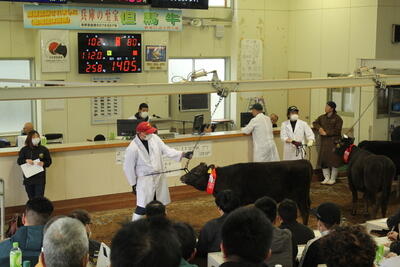 250312JAたじま　子牛市.jpg