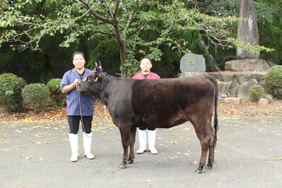 2011年　バレンシア　東日本大震災追悼試合　実支給品　長袖 MRJsWTxe.jpg?width=768