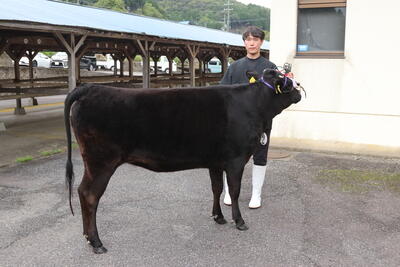 HP250919JAたじま 上田晃也さん初受賞、第94回美方郡種牛共進会、県共に向けてはずみ、兵庫・JAたじま .jpg