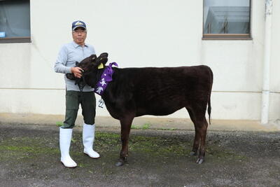 261005JAたじま　竹下さん最上位を初受賞、全3部門で審査、新温泉町子牛共進会1005.jpg